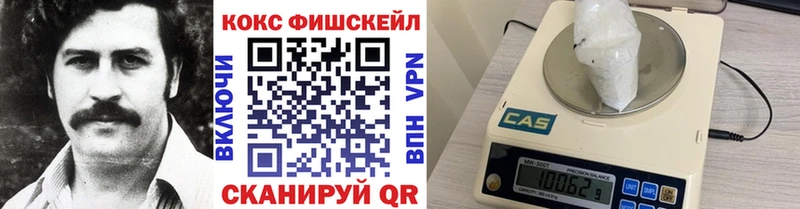 Кокаин Fish Scale  купить   Уссурийск 