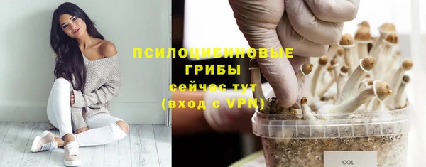 a pvp Алексин