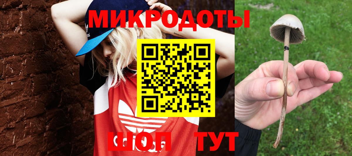 Галлюциногенные грибы Psilocybe  Вход с VPN  Уссурийск 
