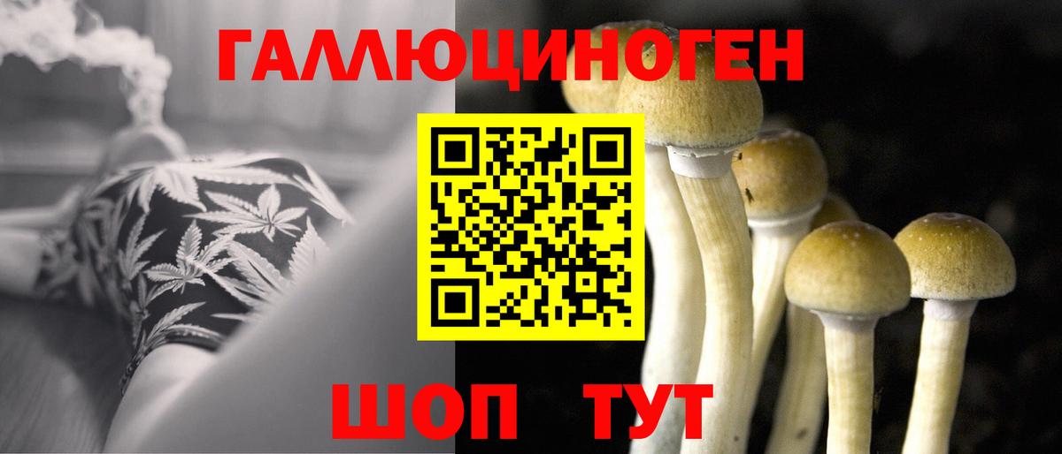 Галлюциногенные грибы GOLDEN TEACHER Уссурийск